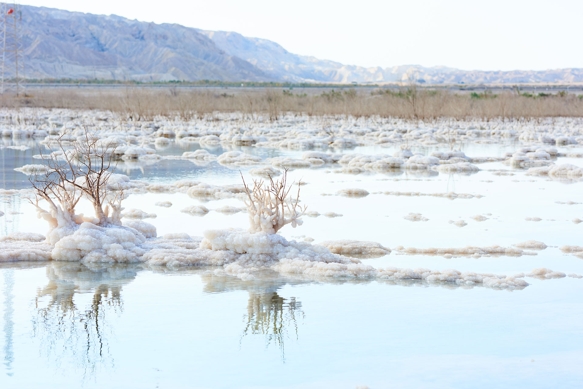 4 Ways Natural Dead Sea Mud Can Transform Your Skin Dead Sea